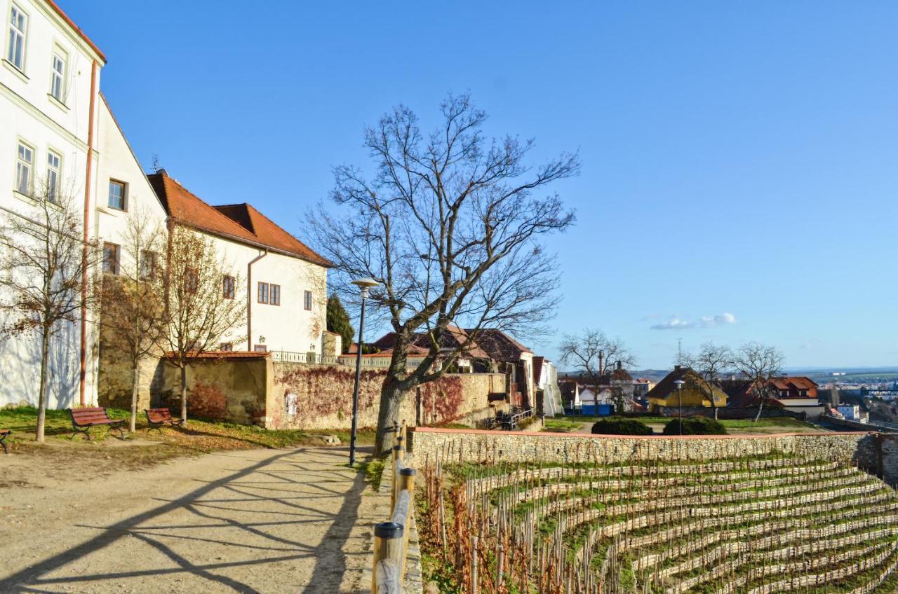 Apartments 3 In The Historic Part Of Зноймо Екстериор снимка